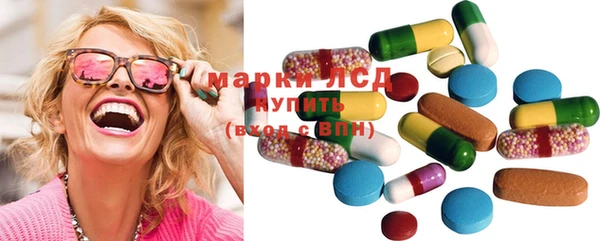 PSILOCYBIN Ельня