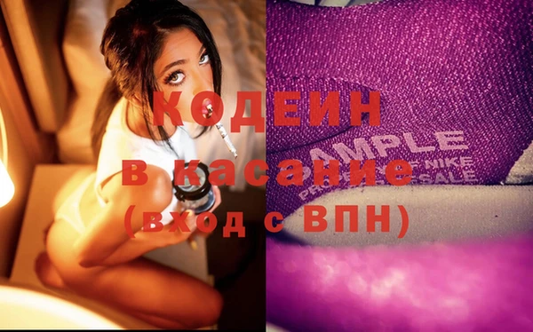 PSILOCYBIN Ельня