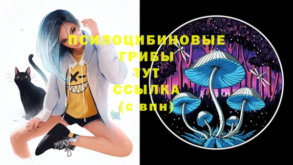крисы Заволжье