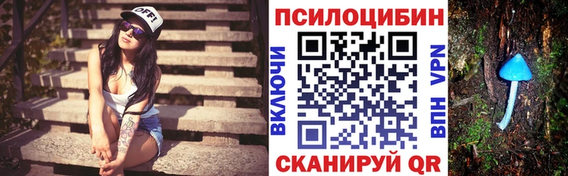 Псилоцибиновые грибы Cubensis  как найти закладки  Можайск 